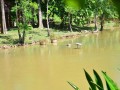 Tn DSC 2108